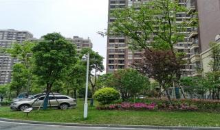落实好降低首套房首付比例