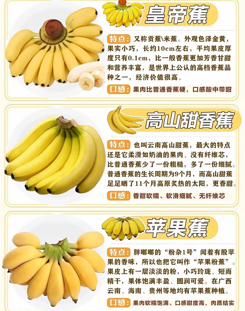 香蕉其实是浆果(香蕉其实是浆果还是果实)