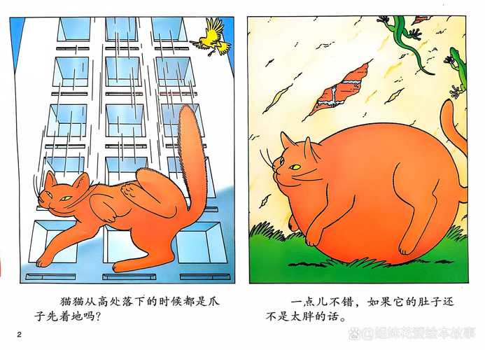 当所有动物开始996工作制(当所有动物都变成了猫组图)