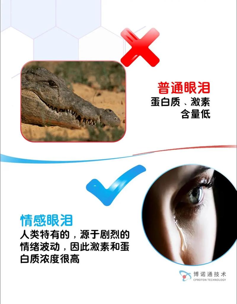 鳄鱼眼泪的化学真相(鳄鱼眼泪是什么溶液)