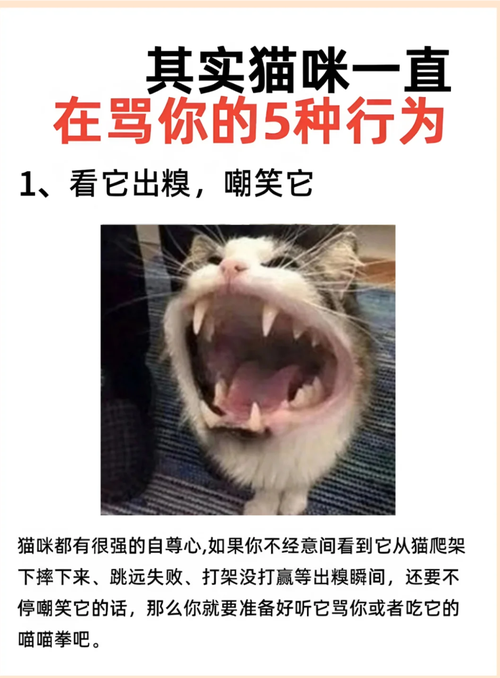 用博弈论解释猫的行为(用博弈论解释猫的行为特征)
