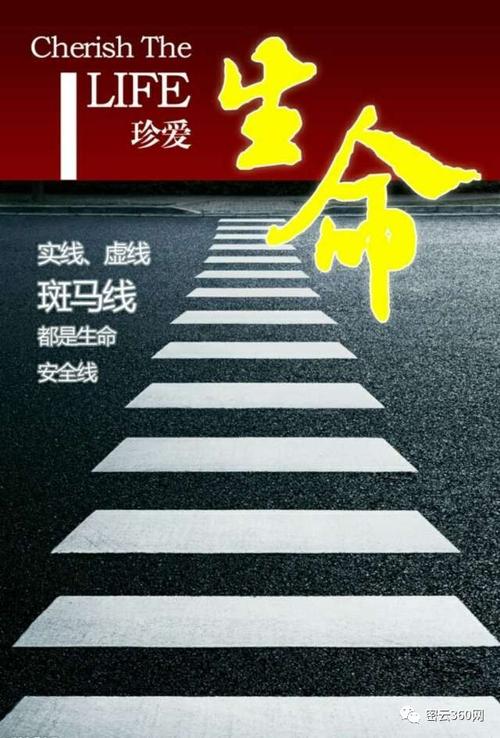 给外星人解释中国式过马路(中国式过马路怎么解决)