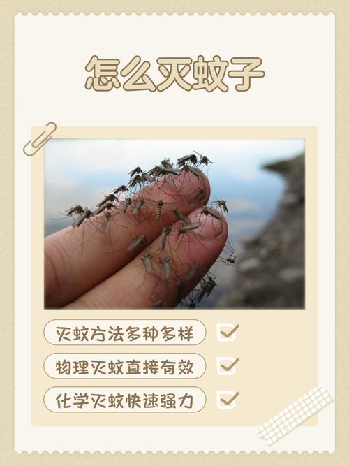 如果蚊子能申请非物质文化遗产（蚊子会成为保护动物吗）