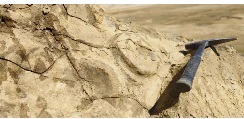 喜马拉雅山的岩石档案（喜马拉雅山有岩浆吗）