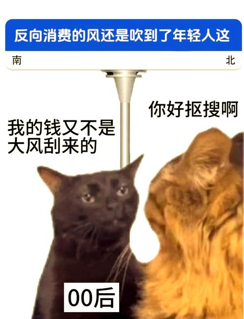 当代年轻人反向消费指南（当代年轻人消费观念）