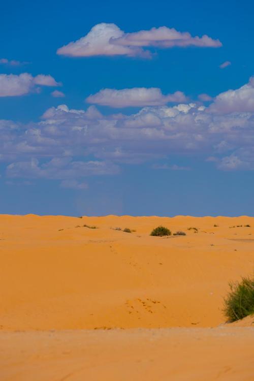 撒哈拉沙漠曾是大草原(撒哈拉沙漠原来的样子)