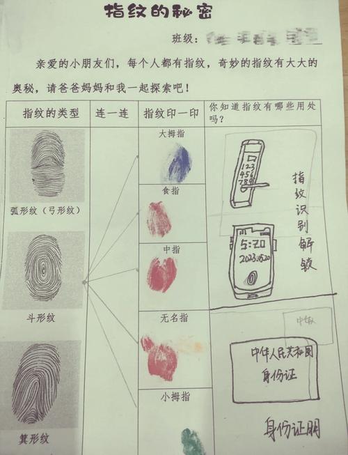 指纹形成背后的混沌理论（指纹的奥秘）