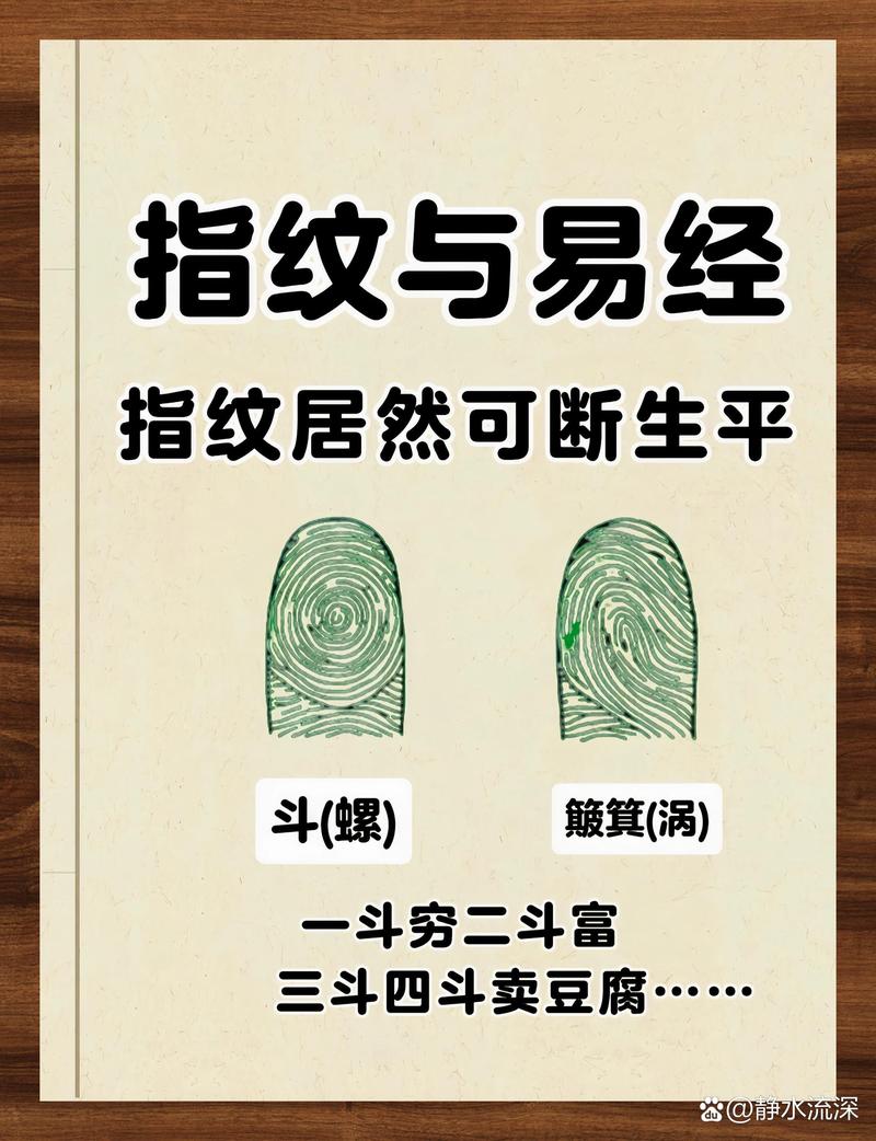 指纹形成背后的混沌理论（指纹的奥秘）