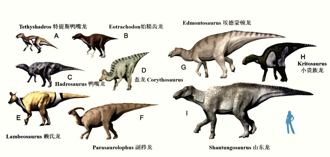 如果恐龙参加奥运会项目(如果有恐龙人类还能活下去吗)