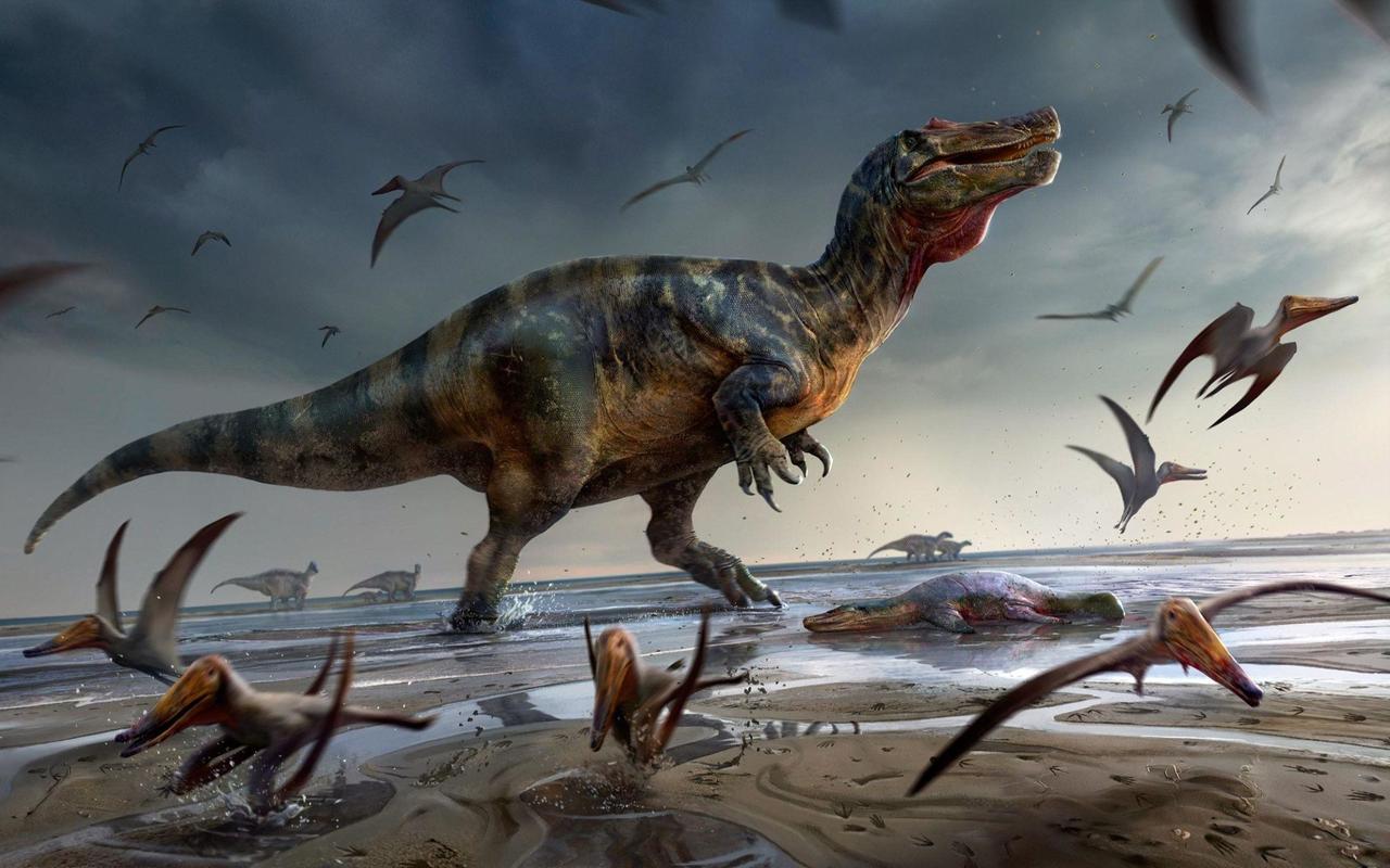 如果恐龙参加奥运会项目(如果有恐龙人类还能活下去吗)