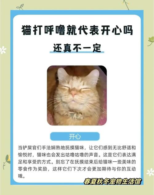 猫呼噜声的治疗功效(猫儿呼噜声)