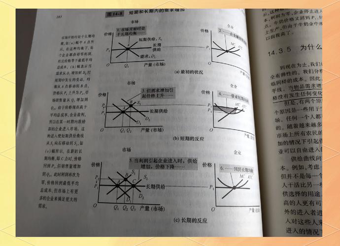 用经济学原理分析分手(用经济学原理分析案例)