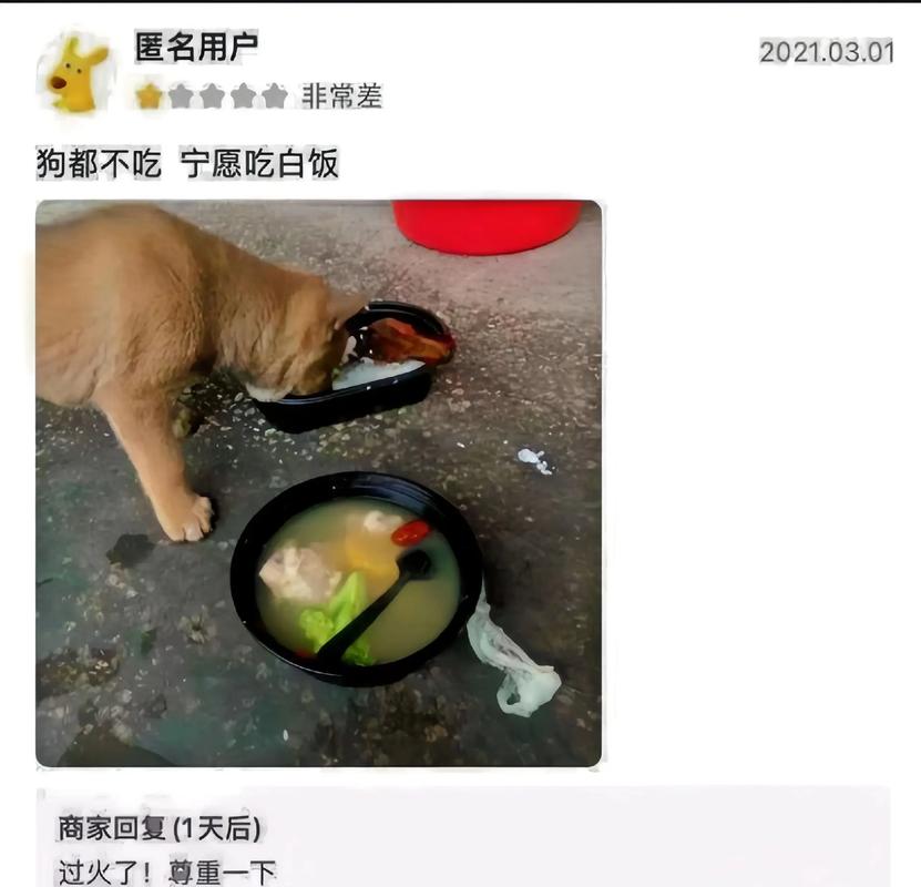 古诗词里的外卖差评(差评诗句)